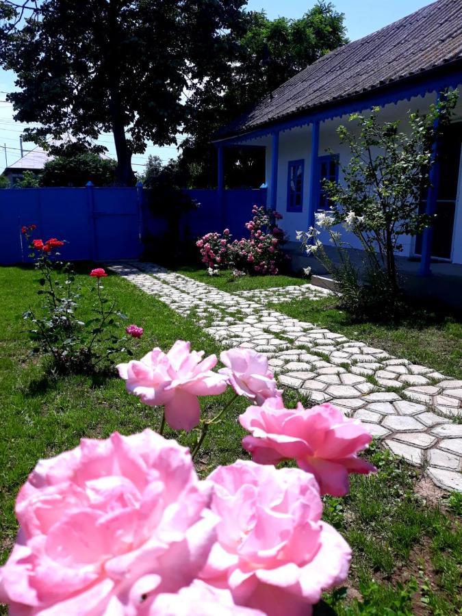 Casa Pavel Jurilovca Villa Dış mekan fotoğraf