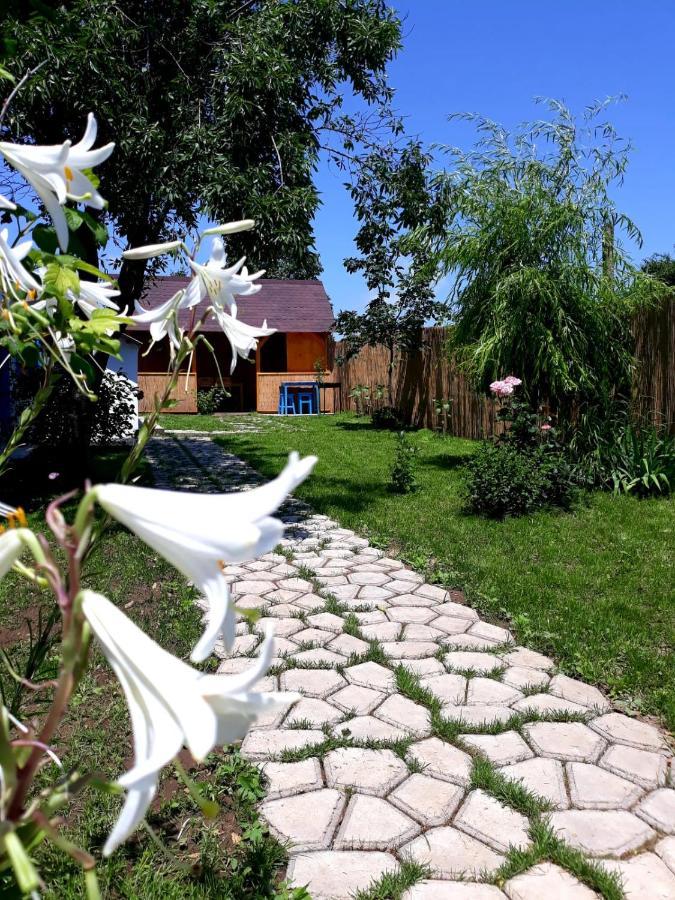 Casa Pavel Jurilovca Villa Dış mekan fotoğraf